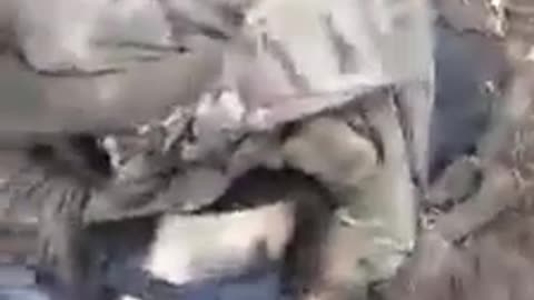 Searching a Dead Russian Soldier