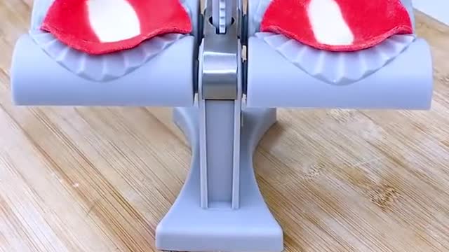 Automatic home dumpling maker.