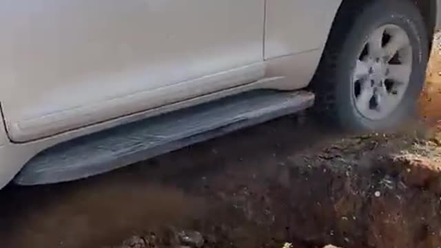 Landcruiser go ahead cool