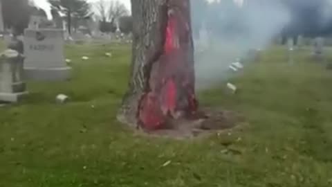 Tree in a graveyard hit by lightning