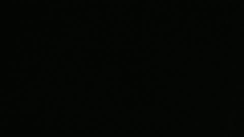 James D Drunkin Booze Rants & Dumb Lies 😅🤣