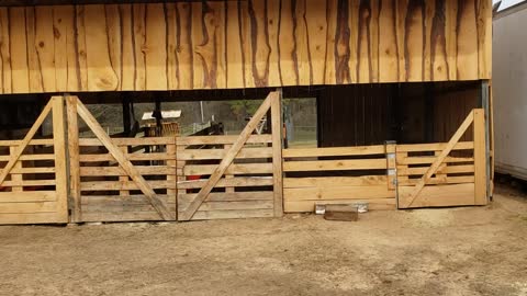 How to fence in goats!