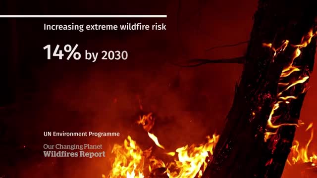 25_Preventative approach could reduce wildfire risk, UN report says