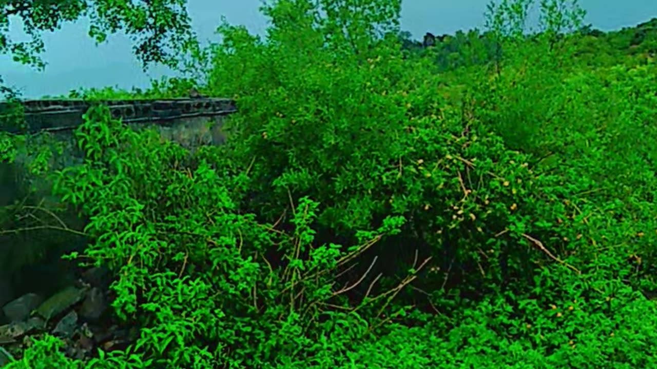 Cool Nature