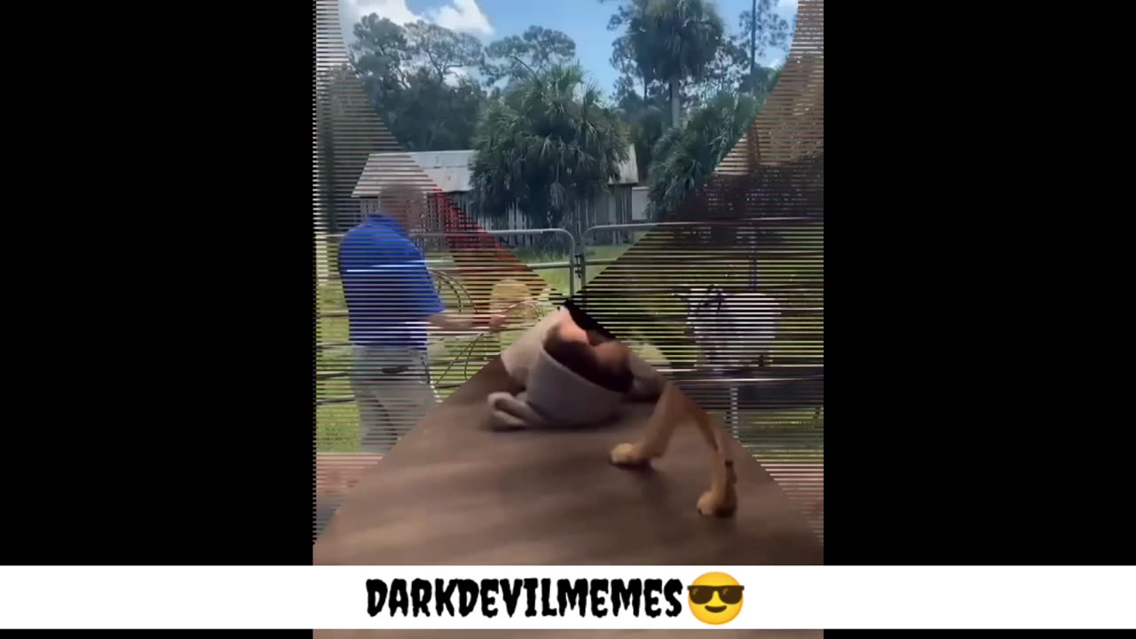 Don't drunk & Swing Bro 😁😁😂😂