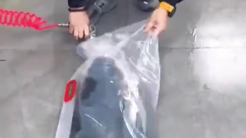 Fish Transport