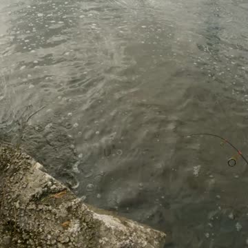 Donkey Tail Mule Jig Largemouth Bass Fishing