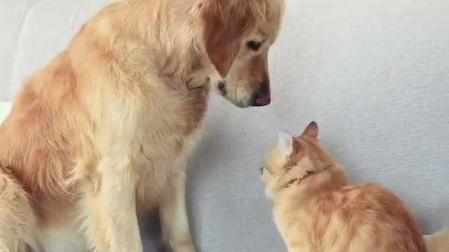 As they played, they began to fight