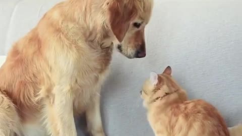 As they played, they began to fight