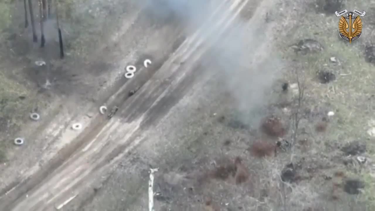 +18 Disturbing Video showing dead and wounded