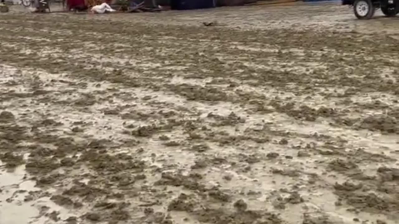 Burning Man Festival Declares National Emergency as over 73,000 Campers are trapped