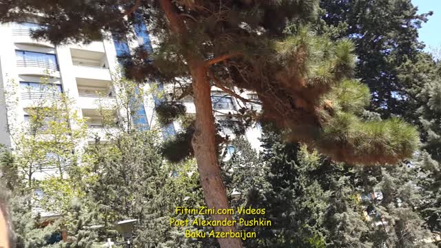 #Baku #Azerbaijan #fitinizini #fitini #AlexanderPushkin #Pushkin #poet #russianpoet