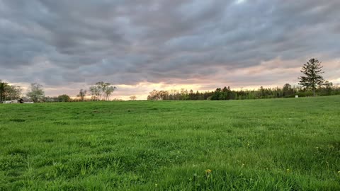 First look at the New Brunswick Homestead