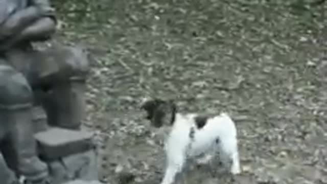 Dog barking at statue - Make fetch happen