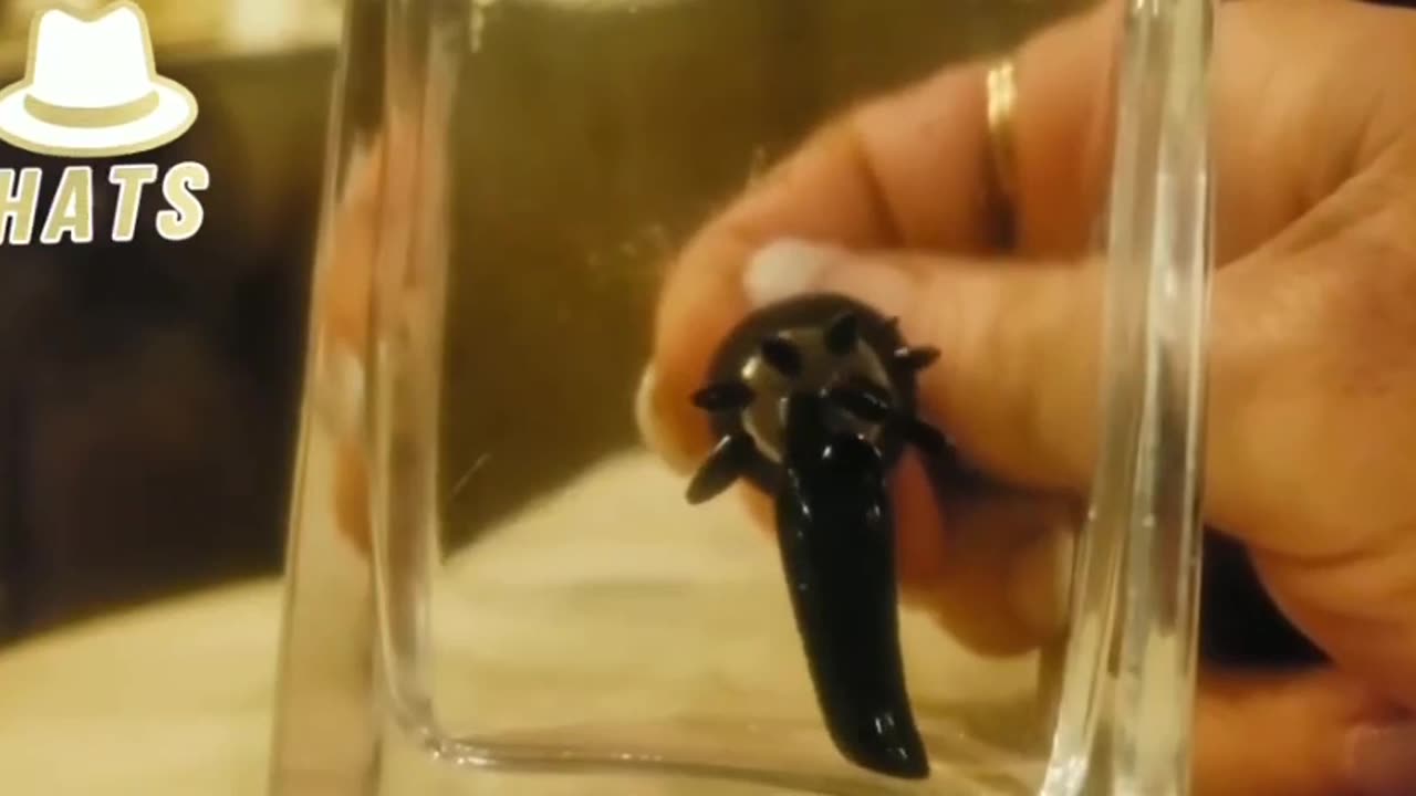 Ferrofluid