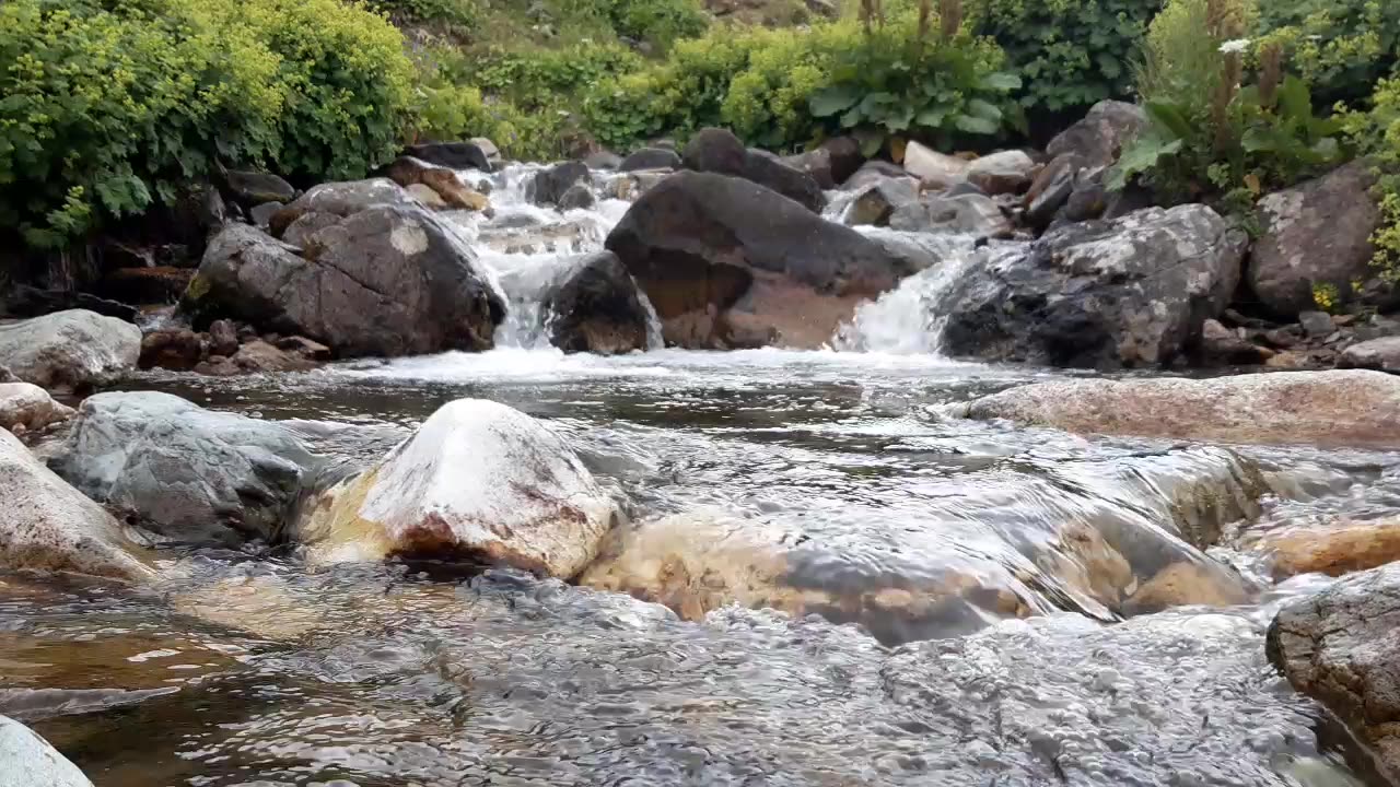 Sections from Creek Videos 2