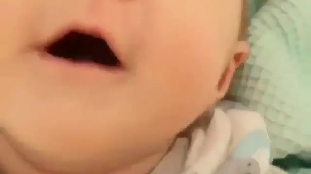 Cute pet video7