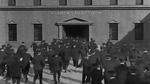 World most wanted funny videos