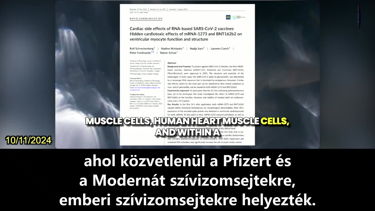 【HU】A COVID-oltások több mechanizmuson keresztül közvetlen károkat okoznak az emberi szervezetben