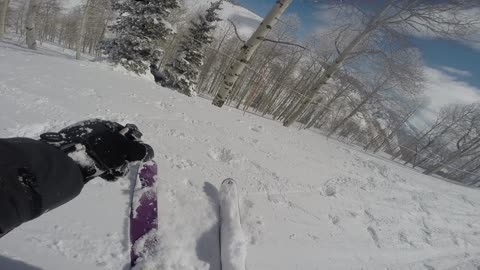 3/14/19 I forgot how much I skied on these lotus skis back in the day.