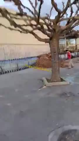 Angry farmers dumped manure on shopping carts at the Leclerc supermarket in Vaucluse