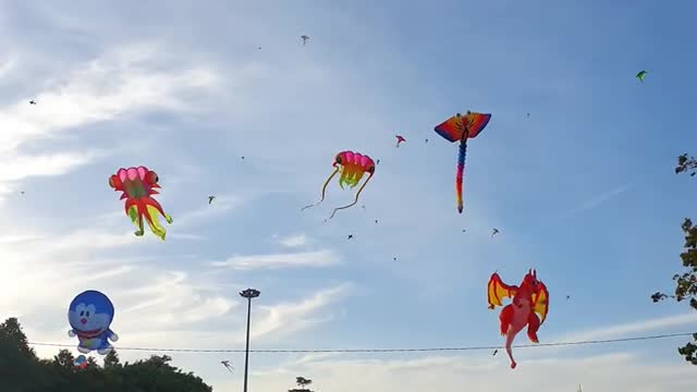 Watch kite flying in Vietnam.