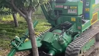 Modern truck moving big tree