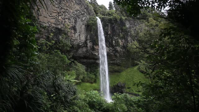 Nice Waterfall In Jungle