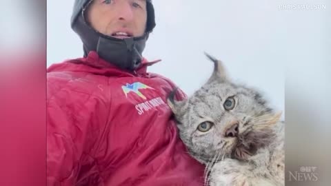 B.C. farmer lectures a lynx after it attacked his chicken coop