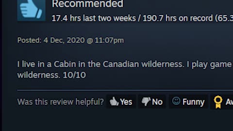 The Long Dark Steam Review