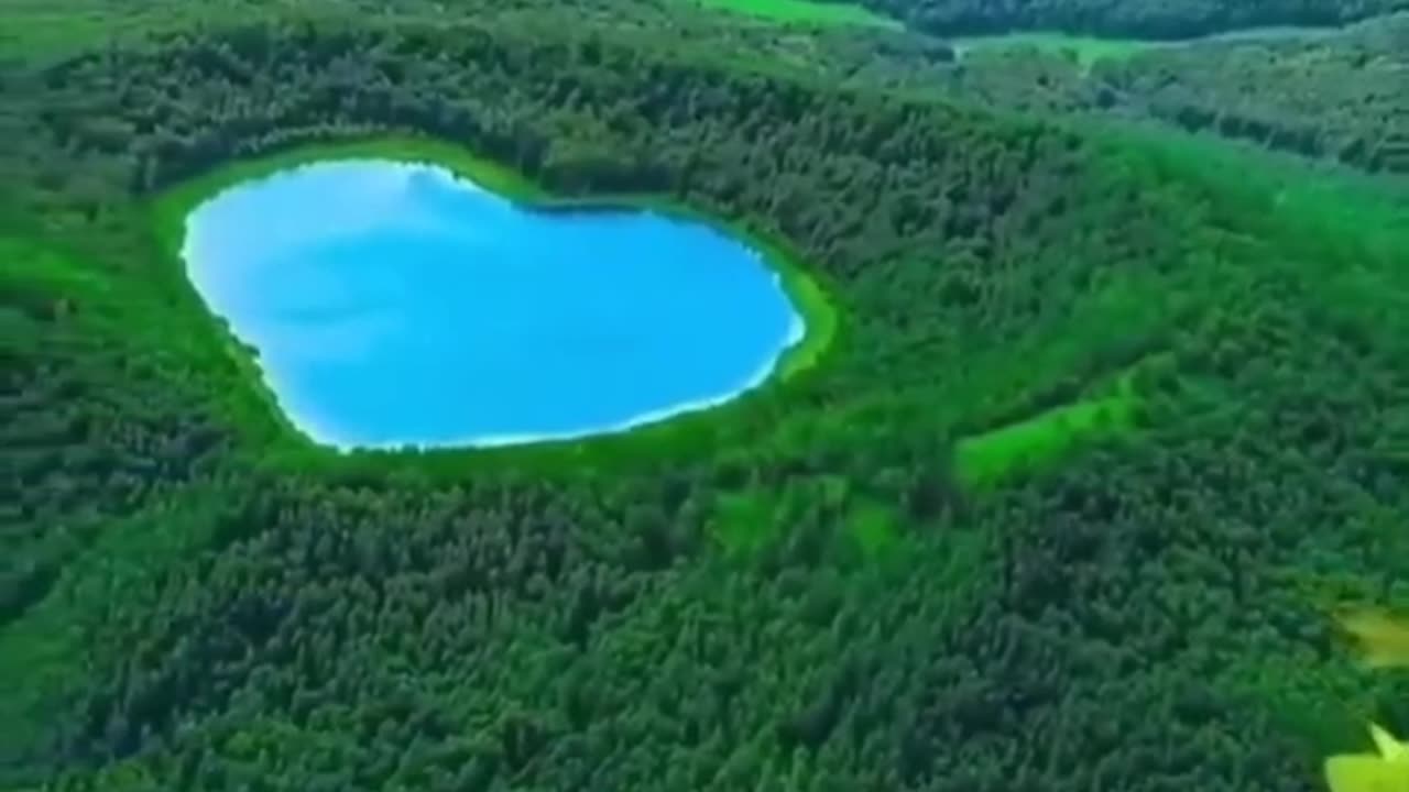 Nature short video