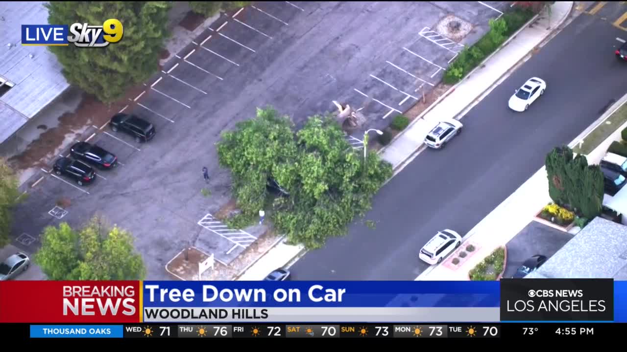 Tree falls on top of car in Woodland Hills