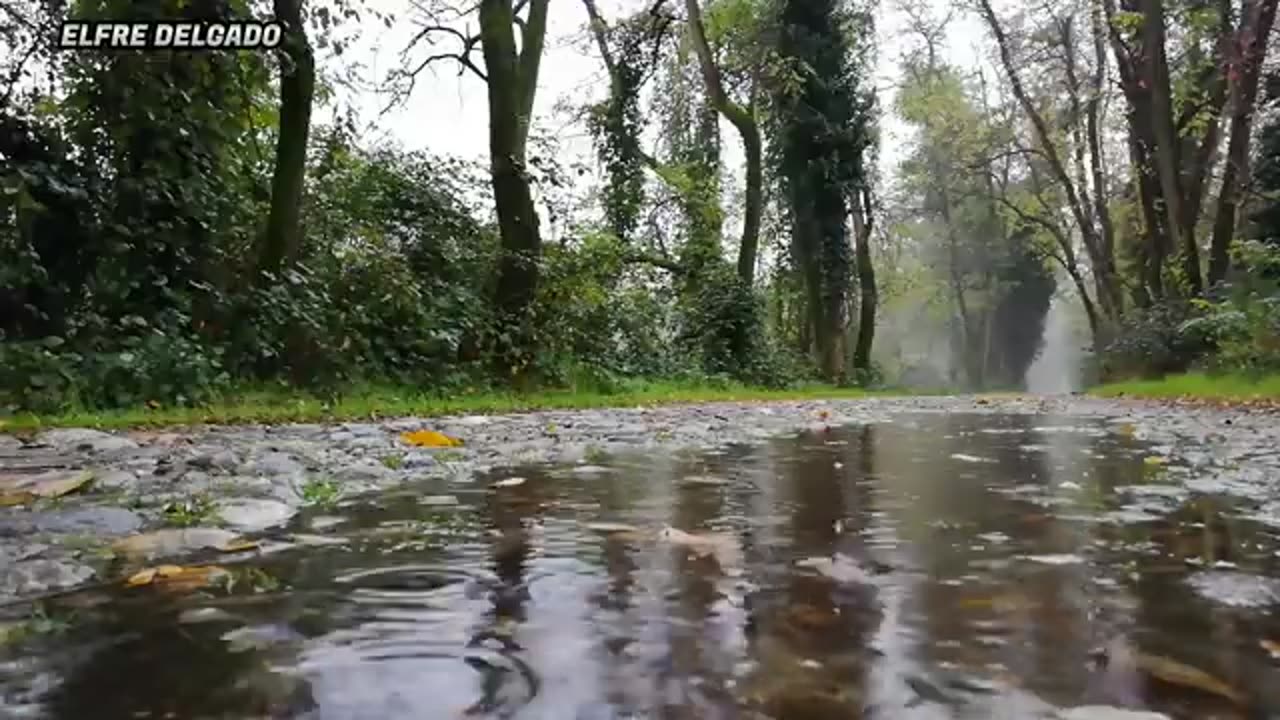 MAÑANITAS DE INVIERNO - ELFRE DELGADO EMBLEMÁTICO