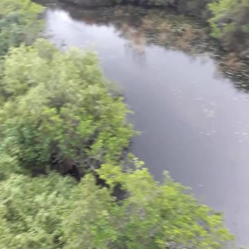 Florida Everglades National Park at "Shark Valley". 4-4--22