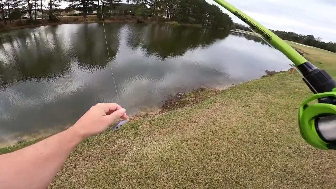 This pond is loaded