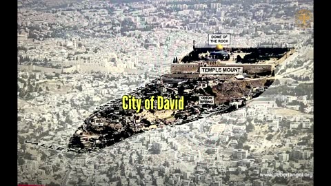 The Real Location Of The Holy Temple Of Jerusalem |