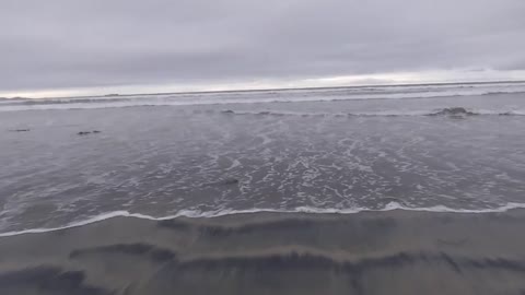 Coronado Shores Beach