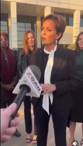 Kari Lake voter fraud facts to the court