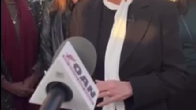 Kari Lake voter fraud facts to the court
