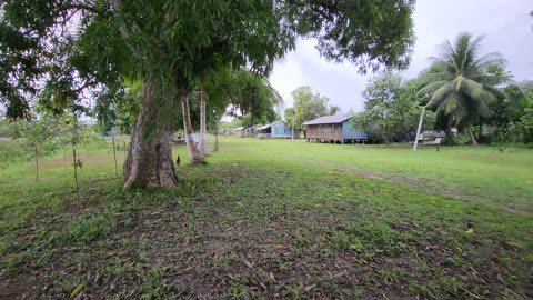 Santa Rosita de Tamaya de Tipischca - Puerto Principal - Masisea - Ucayali Perú