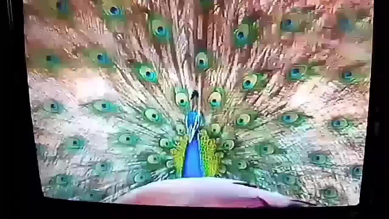 جمييييل فعلا