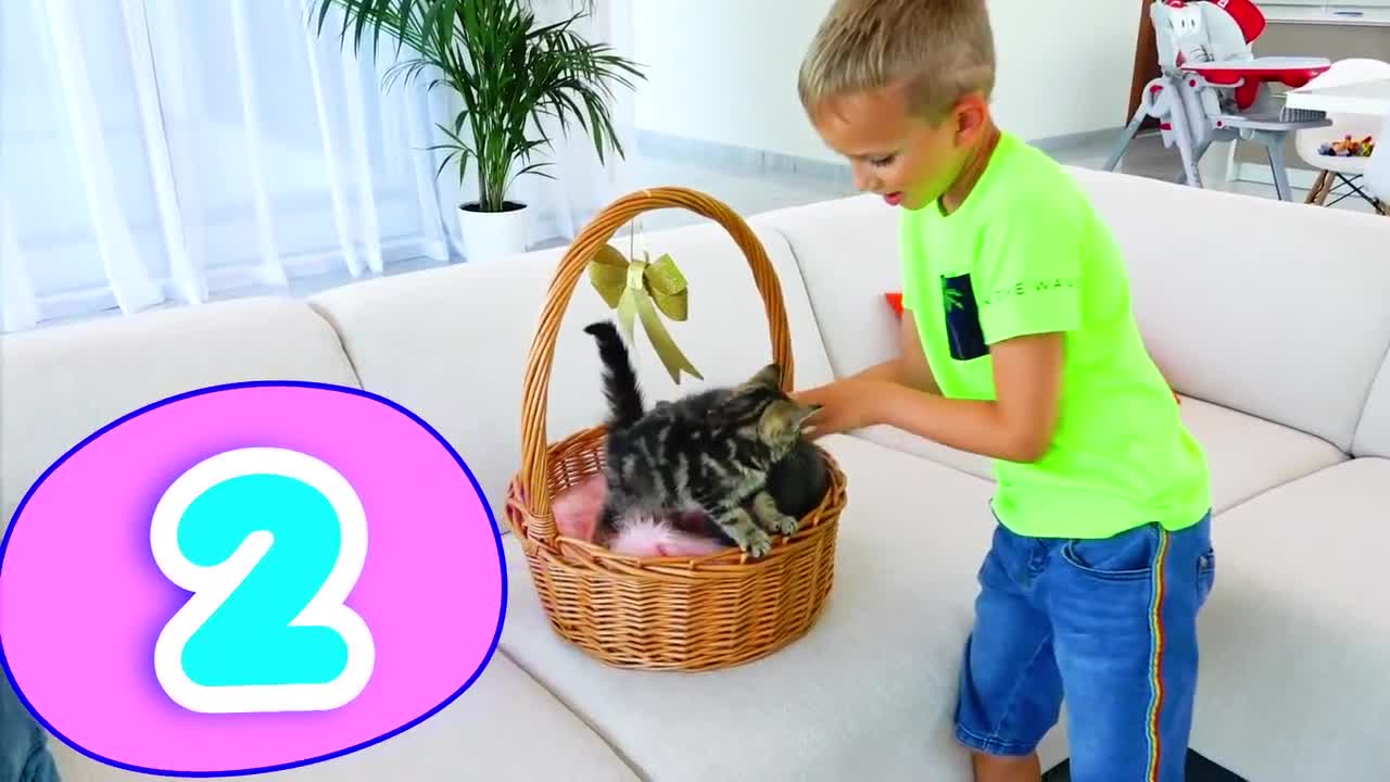 Vlad and Niki play with Kittens