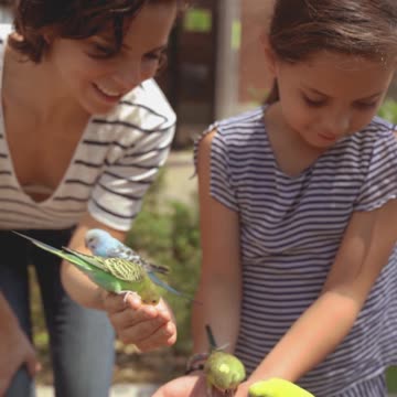 parrot feeding in my sister hand.
