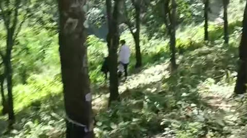 First time in jangal.