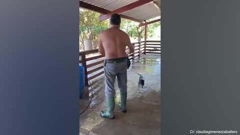 Funniest Dog And Human Video...##🤣🤣🤣🤣