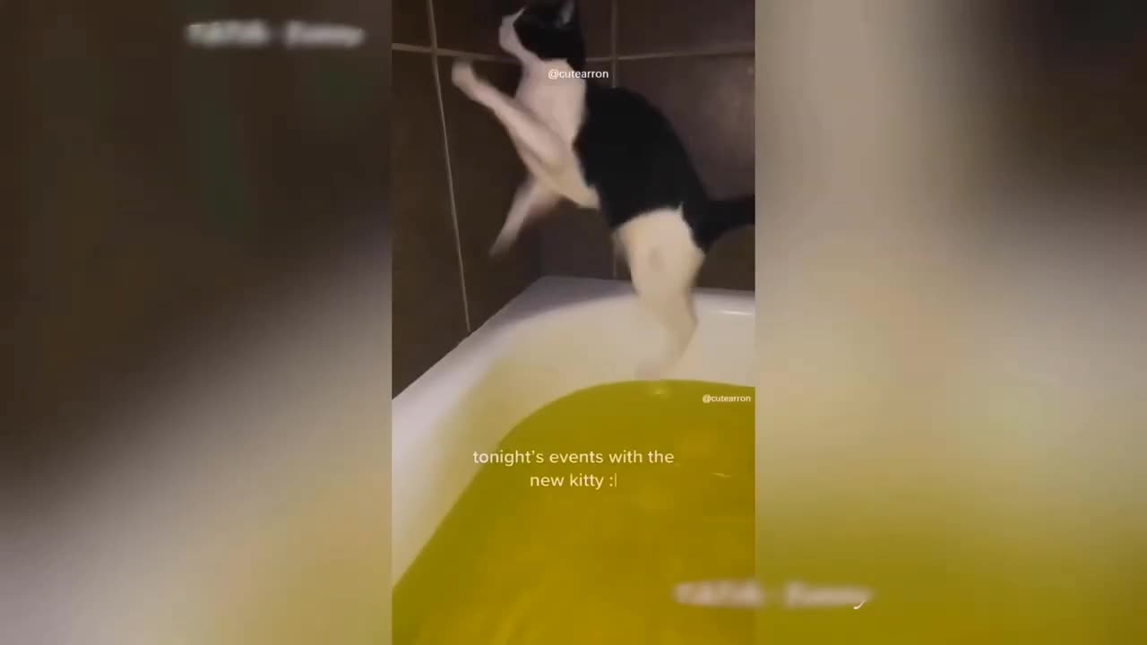 😅😅😅
