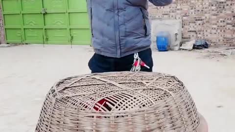 Chinese Funny Video Bucket