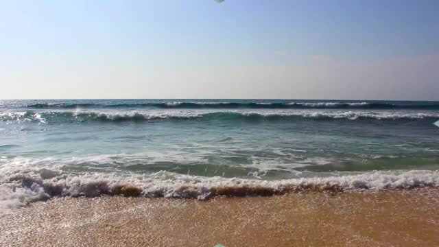 THE PRINCIPAL RELIGION