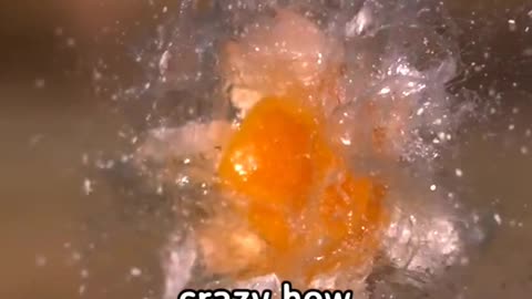 Egg #egg #blast #fire #blow #slowmo #slowmotion #viral #reel #video #