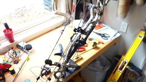 Set up of a limb operated drop away rest on the Hoyt REDWRX RX-1 Ultra